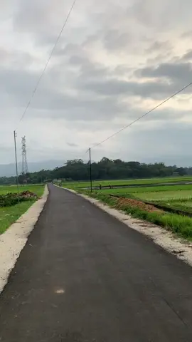 //HIJAU-HIJAU// #gowessepeda #sepeda #pesepeda #funbike #funbike #bikelife #gowes #morningvibes #morning 
