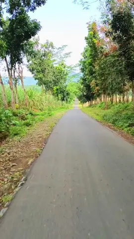 masih di silo#fypage #vlogjember #PesonaJember #silosanenjember 