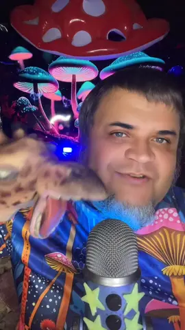 #жираф #asmr 