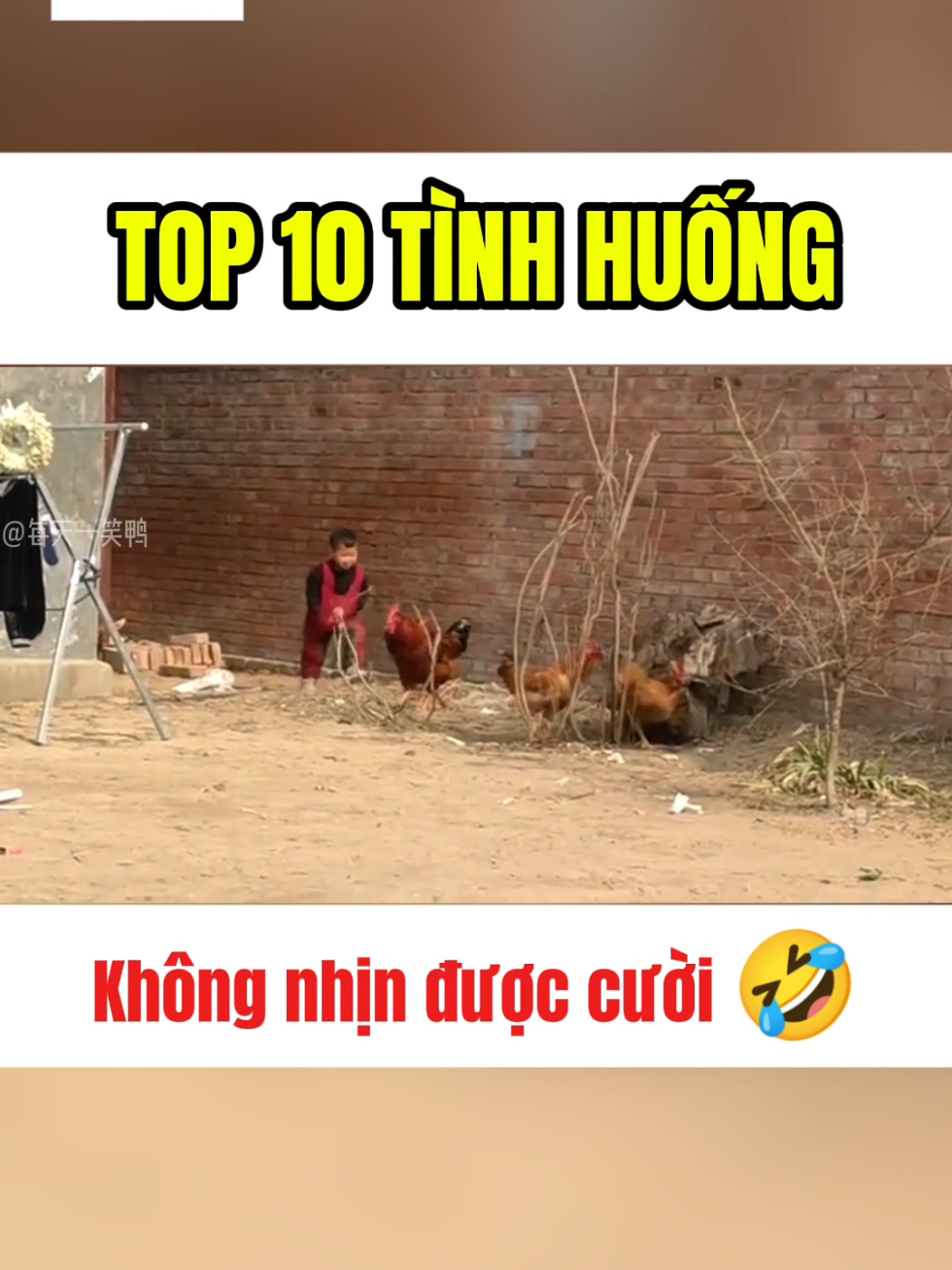 Phần 1| TOP 10 những pha cười sặc sụa  #haihuoc #cuoixiu #vuive #cute #viral #viralvideo #fyp 