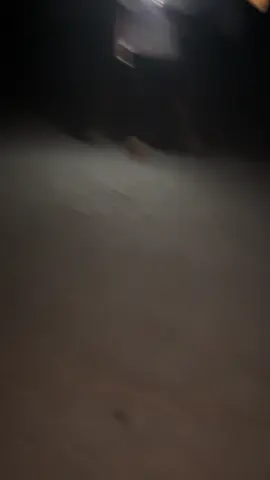 This was funn #4thofjuly 