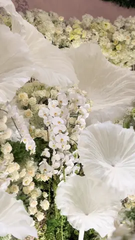 A graceful Akad Nikah ceremony with dreamy 3D lotus leaf installations, unfolding like whispered prayers, and tuberose garland installation stylized through a reimagined silhouette of Rumah Gadang. A poetic fusion of two cultures, harmonizing the grace of Sundanese tradition with the proud strength of Minang heritage. 🤍 Congratulations to Vindy & Hansel 🤍  @vindyrikyla @ernienuty  Decor & Concept: @stupacaspea @__untitled01 @ekadw25 @adiita.w @sabandaragnes @rhantie10 Lenny WO: @multikreasienterprise @emil_mke  Lighting: @lumens_indo  Venue: @intercontinentaljakarta  Pemandu Adat Sunda: @gse_ekayana  Bridal MUA: @leoafandi_  Attire: @eddybetty  Headpiece: @leciel.design  Live Cam: @praya.visual  Video Credits: @praya.visual @adiita.w  #fyp #fypシ #weddingtok #weddingtiktok #akad #akadnikah #dekorakadnikah #akadsunda #akadnikahsunda #minang #scenery #wedding #indoordecor #weddingdecor #weddingdecoration #stupacaspea #flower #floralarrangement #flowers #decor #decoration