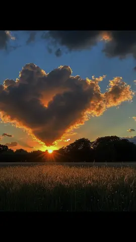 #lovequotes #lovequote #quoteslove