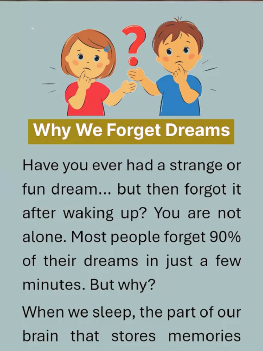 Why We Forget Dreams #fyp #englishconversation #englishstoryforlistening #englishreading #englishtales #storiesforkids #learnenglishthroughstories #englishfluency #englishstoryforkids #kidslearning #spokenenglish #englishpronunciation #englishmotivationalquotes 