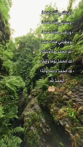 #الذي #خلق_الله #السماء #ادريس_ابكر #تلاوه_خاشعه #تلاوه_مؤثره #قران #اخر_اشي_نسختو💭🥀 #محافظات_العراق #نينوى_الموصل #الموصل #القران_الكريم♥️🌼 #قران_كريم #foryou #fy #fyp #yo #fypシ #duet @مسلم | من الرمادي 📚 @rzgar..4 @Mahmad Tahseen Ali @جـ༈ۖ҉ـؤُفـ༈ۖ҉ـ آلَلَيـ༈ۖ҉ـلَ🦋 