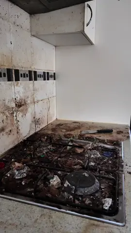 All clips from the same house as we were at this job all week cleaning and got some great results, a lot of hard work and hours put into this clean and it paid off. #fyp #reels #satisfying #cleaningservice #beforeandafter #Cleaning #australia #timelapse #CleanTok #chemicals #comingsoon #newproduct 