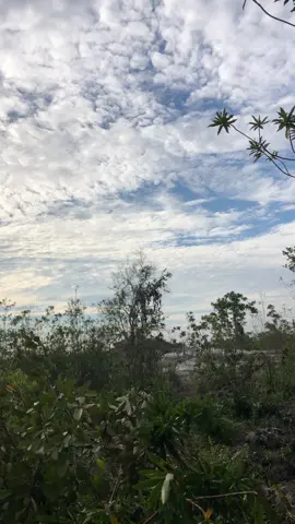 Lari ipin lari ada polisi #sewajarnya #kabor #lari #dyp #masukberandafyp #razia #polisi 