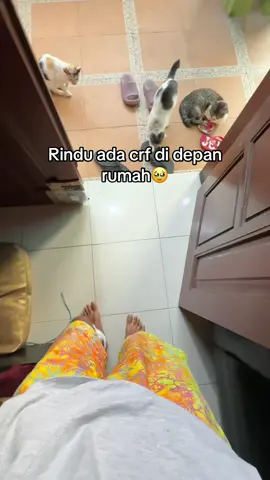 🤕#fyp #xbcyza #speksukasukasaya🐧 #janganlupabahagia #janganlupabersyukur #crfpinguin 