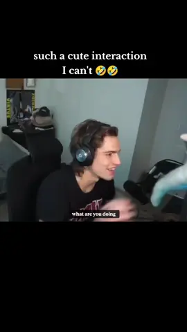 Luffy was the main character of the stream 🤣🤣 #vinniehacker #vinnie #viral #foryoupage 