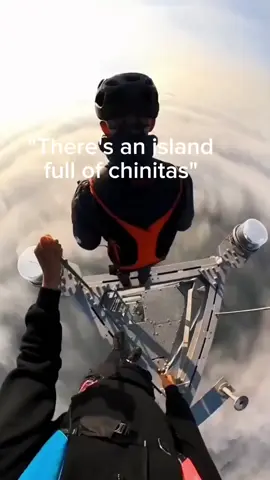 #fineshi #lebronjames #fineshyt #chinita #chinitas #nonchalant #foryoupage #blowthisup #fyp #fyppppppppppppppppppppppp 