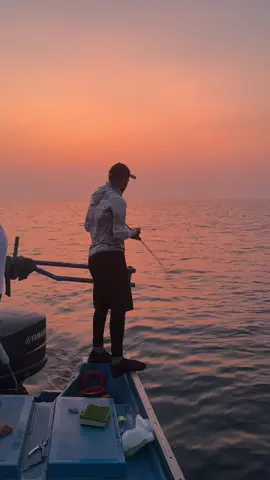 #creatorsearchinsights #سمك #صيد #fishing #خصب #الحمدلله_دائماً_وابداً #بحر #حداق #هيال 