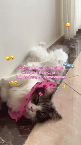 si ini kanhen berats . . . . #gasukaskip📵 #fypage #sb?caper🤪 #tiktokpelitfyp #tiktokpelitfyp😒 #sbcaper🚯 #sbcaper #fyppp #fyppppppppppppppppppppppp 