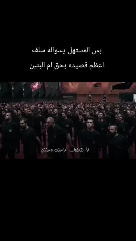 أنه أم الرواي #باسم_الكربلائي #tiktok #capcut #محرم #المملكه_الباسميه💞 #اكسبلورexplore 