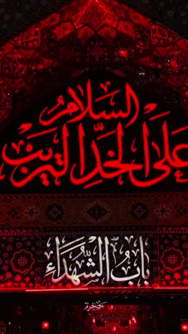 وستبقى يا أبا الشهداء.. #وفاء_للحسين_محرم  #محرم  #عاشوراء  #كربلاء_المقدسة  #ميرزا🍂  #العتبة_الحسينية_المقدسة  #foryoupage  #fypag  #اكسبلور 