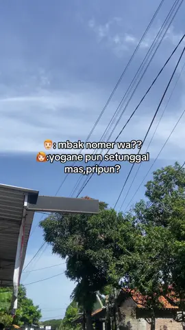 #fyppppppppppppppppppppppp#viralvideo 