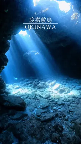光のカーテン素晴らしい🥹🙌 #渡嘉敷島 #離島 #離島巡り #ダイビング #ダイビング女子 #沖縄旅行 #慶良間諸島 #スノーケリング #沖縄 #自然 #自然界隈 #fyp #diving #keramaislands #tokashikiisland #沖縄観光 #沖縄ホテル #ケラマテラス #underwater #japan #snorkeling 