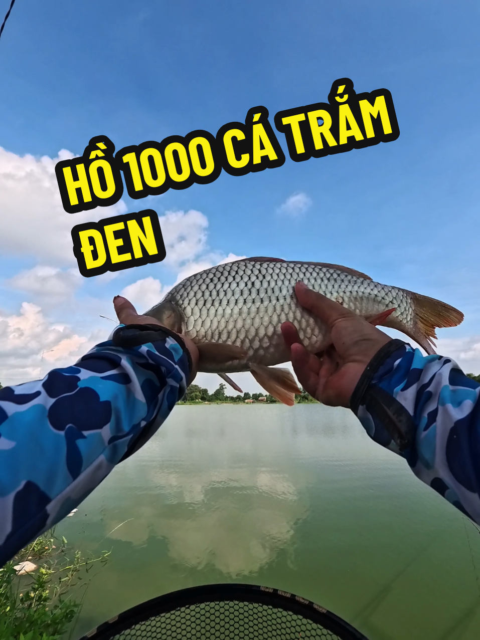 Trải Nghiệm Hồ 1000 Trắm Đen #thangthichcau #xh #cauca #fishing 