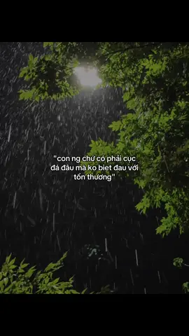 #_nhat_trung🤍 #dntxuhuong #fbtxuhuong 