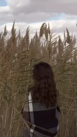 سبة تصادم الاوادم دافع الاشتياق.🌷