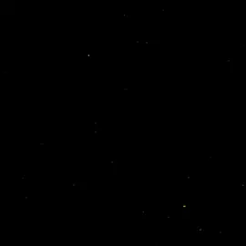 رضي الله عن الخليفه الاول و عن قاتل الجن و عن سيد شباب الجنه #مشاهدات #عبارات_دينيه #fpyシ #capcut #tiktok #explore #الشعب_الصيني_ماله_حل😂😂 #العراق 