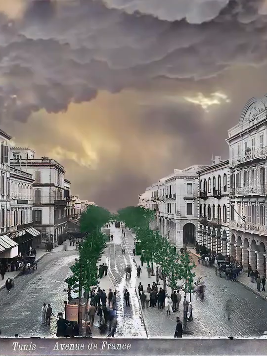 🌺 TUNIS Avenue de FRANCE تونس ، شارع فرنسا 🌺