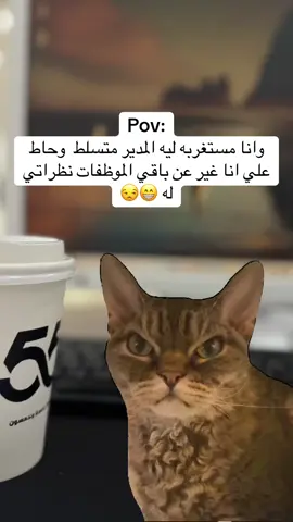 #Meme #MemeCut #اكسبلورexplore #الشعب_الصيني_ماله_حل😂😂 #اكسبلورexplore 