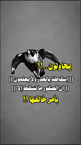 #حالات_واتس_اب #عبارات_فخمه_قويه_ #تصميم_منصور_الشقراني #اكسبلوررررر #مليون_مشاهدة❤ #لايکـات #مليون_متابع_❤️‍🔥