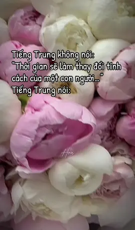 Bỗng một ngày, tôi không còn hứng thú với những thứ mà tôi đã từng thích… #cunghoctiengtrung #hoctiengtrung #tuhoctiengtrung #luyennghetiengtrung #radiotiengtrung #tiengtrungnungniu #tiengtrungmoingay #学中文 #hsk #xiaoheng19 