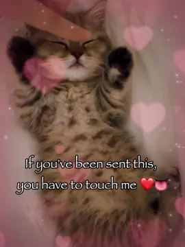 If you’ve been sent this.. #rizz #catsoftiktok #fyp 