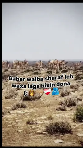 sharaftena an ilashano 👸🐪❤️‍🩹🫂#xanti_snapchad #happyahmedhilwa #sowdaqurux10 