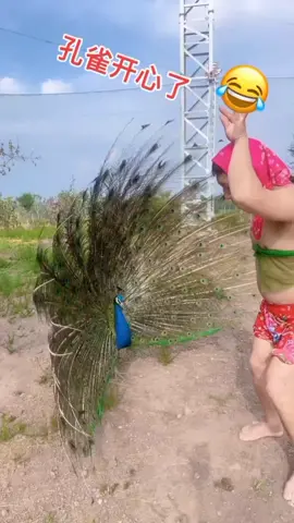 Vũ điệu 😂 cong đực gợi tình 🤣