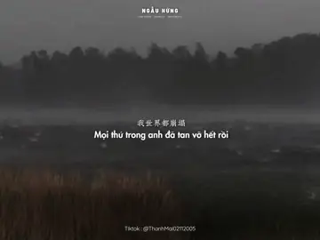 逆流而上的鱼也只能不停地游， 不管愿不愿意，结局终究不会改变。Cá ngược dòng cá vẫn phải bơi. Dù muốn hay không thì kết quả vẫn vậy. .                                  _                                                                 _ .                                  _                                                                 _  #即兴 #nhactrungquoc #ngauhung #trungquoc #lyrics #vietsub #nhac #thanhmai02112005 