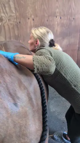 Sheath cleaning is not for me 🤢 #stallion #breeding #horse #horses #horsesoftiktok #horsegirl #horsecare #equestrian #equine #pony #ponies #horselife #horselovers #notforme #horsetok #horsegirlvibes 