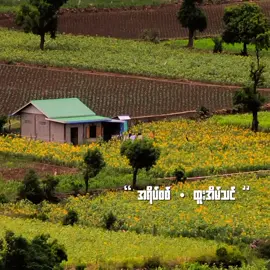 #မျက်ရည်မဝဲဘဲ  #ပြောလို့မရတဲ့  #နောက်စကားလုံးတခုဟာ  #အမေ့အိမ်ပါ  #အရိပ်စစ်  #ထူးအိမ်သင် 
