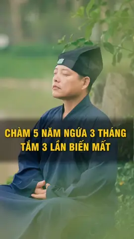 Ngứa da, viêm da, đã chàm, viêm da cơ địa ezema, mẩn ngứa, vẩy nến gặp loại lá này cũng phải chào thua #phucdaosinh #viemda #dacham #vaynen #nguada #viemdacodia #manngua #nonggan #viemdatiepxuc #xuhuong #fyp #meochuabenhngoaida
