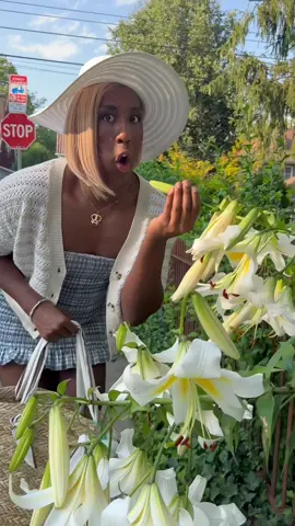 Just a little walk to the cookout 🥰  #usa #livelaughlove #fyp #koriking 
