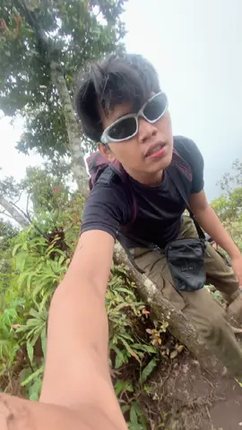 Salak sihh #salak #tektok #kabut 