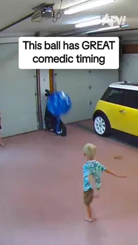 Whose fault is that? 🤣 #afv #fail #funny
