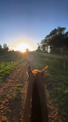 #cavalo#agro#fazenda#pordosol#modao#fimdetarde