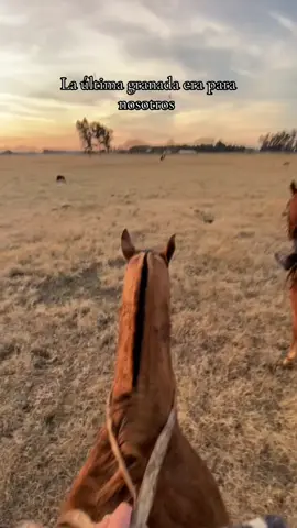❤️‍🩹 . . #campoargentino🌱🌾🌻🐮🐂 #campo #caballos #viral_videos 