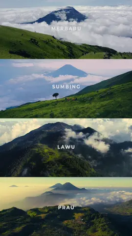 4 gunung dengan sabana terncantik di Jawa Tengah 1. Gunung Merbabu (3.145 mdpl) Sabana Merbabu adalah primadona pendaki. Hamparan rumput luas yang membentang seperti lautan hijau, berpadu dengan latar belakang Gunung Merapi yang gagah. Sabana II dan III jadi spot favorit buat golden hour—tempat di mana langit seolah menyatu dengan bumi. 2. Gunung Lawu (3.265 mdpl) Di balik aura mistisnya, Lawu menyimpan sabana cantik di sepanjang jalur Candi Cetho dan Cemoro Kandang. Tumbuhan edelweis, kabut tipis, dan lanskap terbuka menciptakan nuansa magis yang menenangkan jiwa. Pendakian rasa petualangan spiritual. 3. Gunung Sumbing (3.371 mdpl) Sumbing terkenal dengan jalur yang menantang, tapi sabananya jadi hadiah terbaik di ketinggian. Lewat jalur Garung atau Bowongso, kamu akan menemukan padang luas yang sering diselimuti awan. Rasanya seperti berdiri di atas negeri di atas awan. 4. Gunung Prau (2.565 mdpl) Si kecil dengan pemandangan besar. Sabana Gunung Prau adalah taman alami yang membentang luas, penuh bunga daisy saat musim kemarau. Dari sini, sunrise akan menyapa dengan siluet Sindoro-Sumbing sebagai latar. Pendakian singkat, tapi membekas. #merbabu #prau #lawu #sumbing #gunungindonesia #pesonaindonesia #folkindonesia #pesonagunung #sabana #savana 
