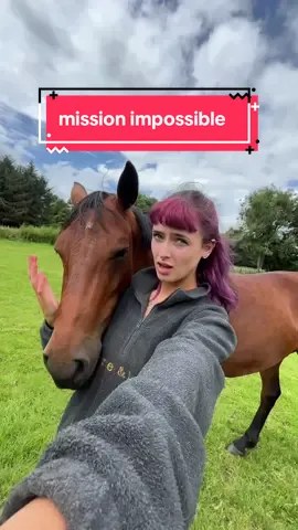jingle jingle I said your favourite word, horsey, jingle jingle jingle #horsetok #horseriding #equine #horses #horsegirl #horse #horsesoftiktok #equestrianvibes #fyp #foryou #abcxyz 