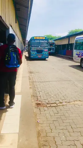 කද සුරිදු පිහිටයි...💐 තංගල්ල 32 කොළඹ💙 සාමාන්‍ය ගාස්තු✨ #edirisingha  #kavindu_lanka_super_express #fyp #bus #sri_lanka_bus 