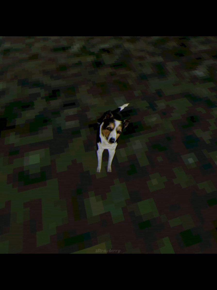 Stay Out Of The House // #stayoutofthehouse #puppetcombo #vhs #vhshorror #horror #game #uncannyvalley #fypシ゚ #foryoupage #edit #CapCut 