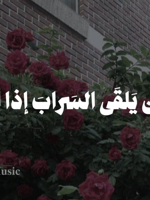 بدون موسيقى 🤎  #واني_تائه_في_بحر_حبا #fypシ  #اناشيد #بدون_موسيقي #no_music 