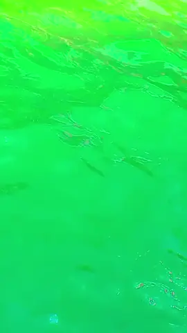 #🥰🥰🌹🌹♥️♥️☘️☘️ 💯💯💯✌️✌️✌️