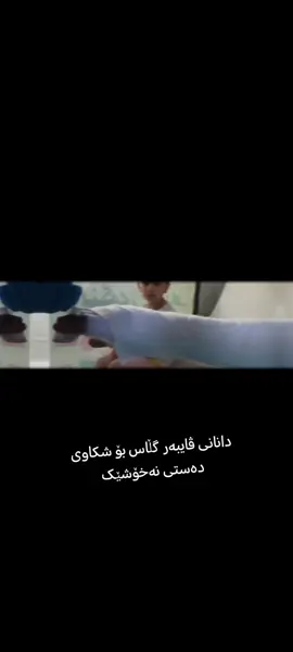 #شارەزوور #zarayan #هەولێر_سلێمانی_دەهۆک_ڕانیه_کەرکوک 