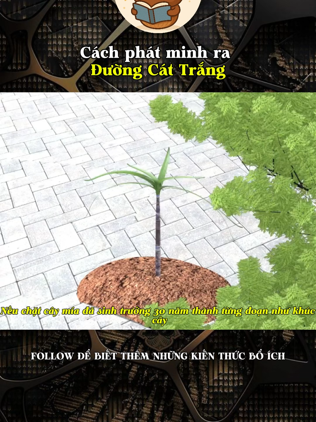 Cách phát minh ra Đường Cát Trắng#kienthucthuvi #khoahoc #khampha #LearnOnTikTok #kienthuc #xh