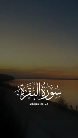 القرآن — سرّ الحياة الحقيقي 💖 كل كلمة فيه بركة #قران_كريم #quran #quran_alkarim #تلاوة_خاشعة 
