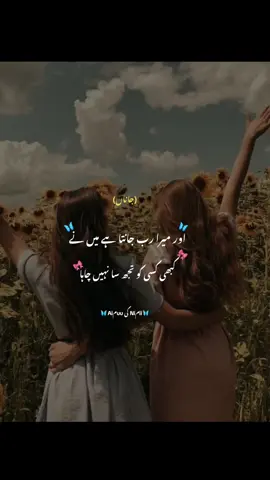 کسی کو نہیں چاہا 🥹@اے دل کی خلش چل یونہی سہی 🫠🙌 